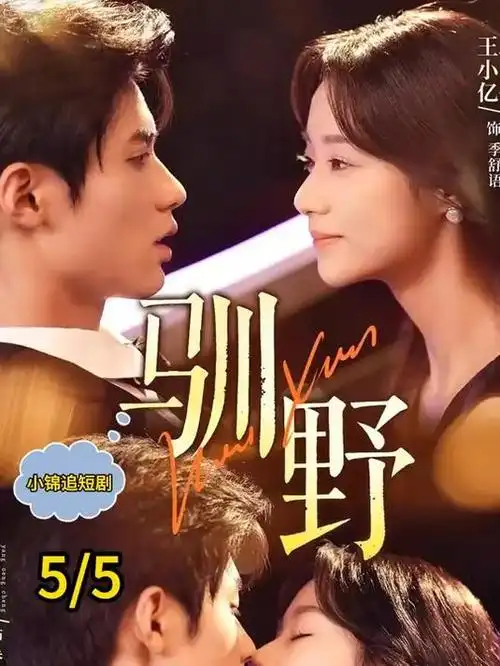 灰阶谈判 职场剧封面